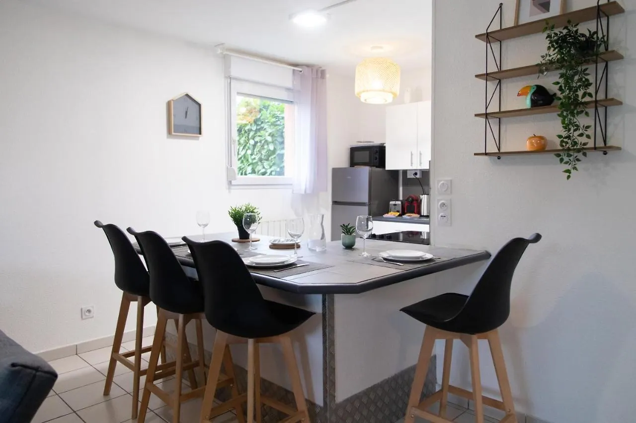 My Cozy Flat Blagnac - T2 - Free Parking - Terrasse - Jardin Apartment